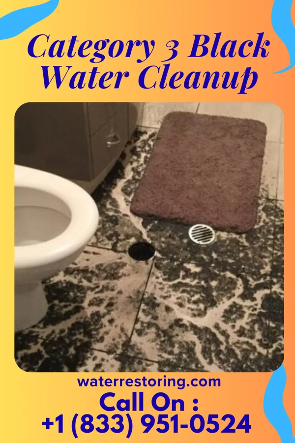 Category 3 Black Water Cleanup in North Omak, WA