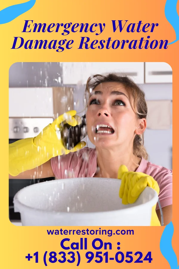 Emergency Water Damage Restoration in North Omak, WA