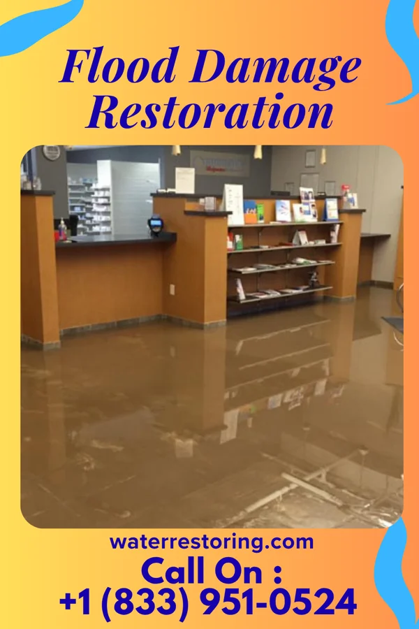 Flood Damage Restoration in North Omak, WA