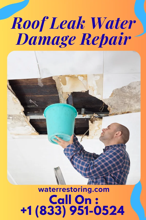 Roof Leak Water Damage Repair in North Omak, WA